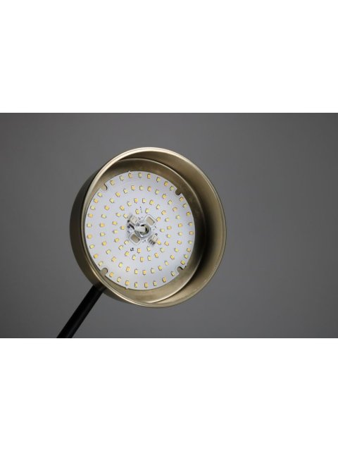 Подвесная светодиодная люстра Zortes Lunar ZRS.01243.08