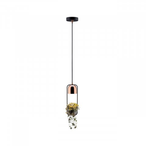 Подвесной светильник Paulmann Fanja 79749