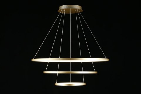 Подвесной светодиодный светильник Aployt Lunet APL.014.03.100