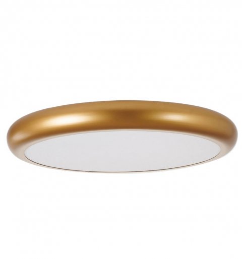 Подвесной светодиодный светильник Favourite Smiler 2829-2PC