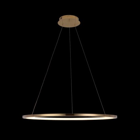 Подвесной светодиодный светильник Loft IT Ring 10014L