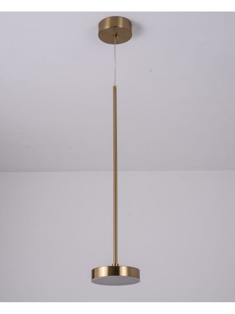 Подвесной светодиодный светильник Zortes Lory ZRS.1055.01