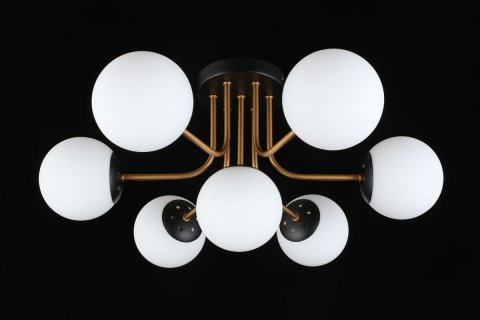 Потолочная люстра Aployt Ewka APL.906.17.07