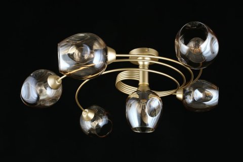 Потолочная люстра Aployt Flor APL.611.07.06