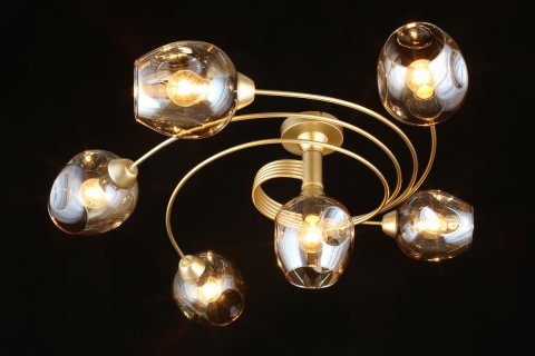 Потолочная люстра Aployt Flor APL.611.07.06