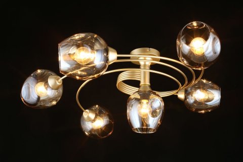 Потолочная люстра Aployt Flor APL.611.07.06