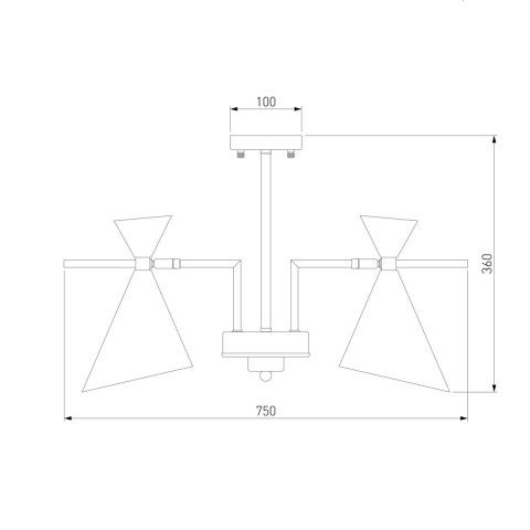 Потолочная люстра Eurosvet Apart 70114/5 белый