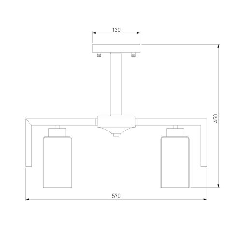Потолочная люстра Eurosvet Palio 70126/6 черный