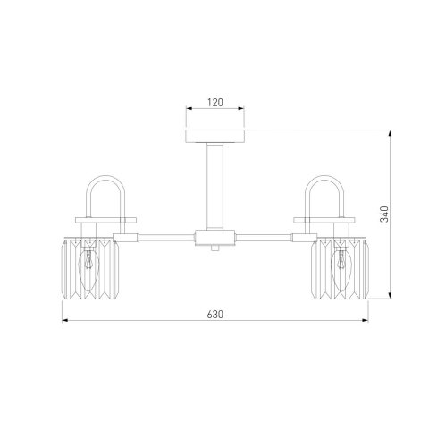 Потолочная люстра Eurosvet Tenia 70090/5 черный