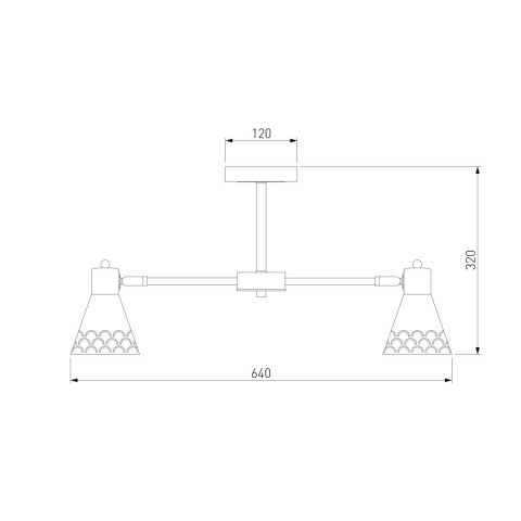 Потолочная люстра Eurosvet Trina 70100/6 черный