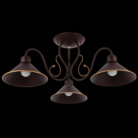 Потолочная люстра Evoluce Ciolla SLE120402-03