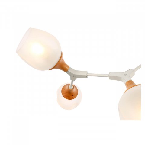 Потолочная люстра Evoluce Ciotolla SLE113502-05