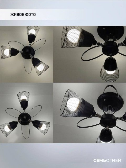 Потолочная люстра Seven Fires Berat WD3525/3C-BK-CR-BK