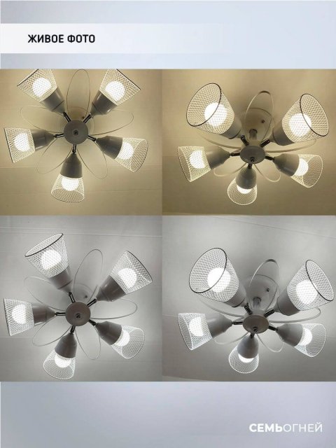 Потолочная люстра Seven Fires Berat WD3525/5C-WT-CR-WT