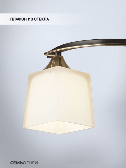 Потолочная люстра Seven Fires Birti WD3513/2C-CF-FGD-WT