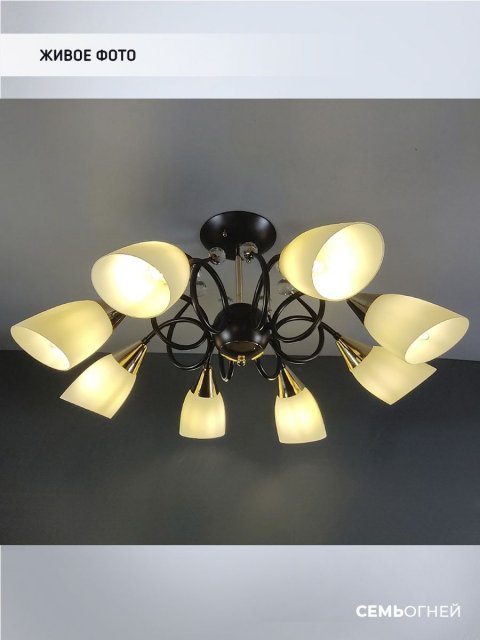Потолочная люстра Seven Fires Brava WD3514/8C-CF-FGD-WT
