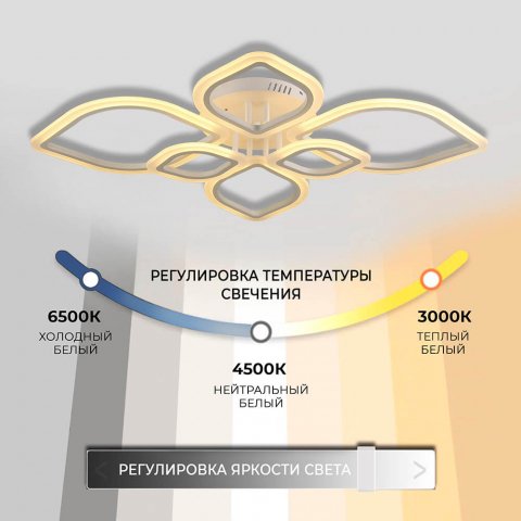 Потолочная люстра Seven Fires Alia 75300.01.09.06