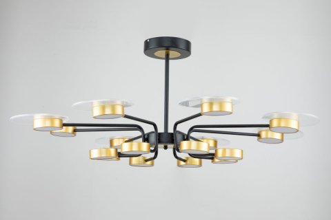 Потолочная светодиодная люстра Escada Halo 10211/SG LED