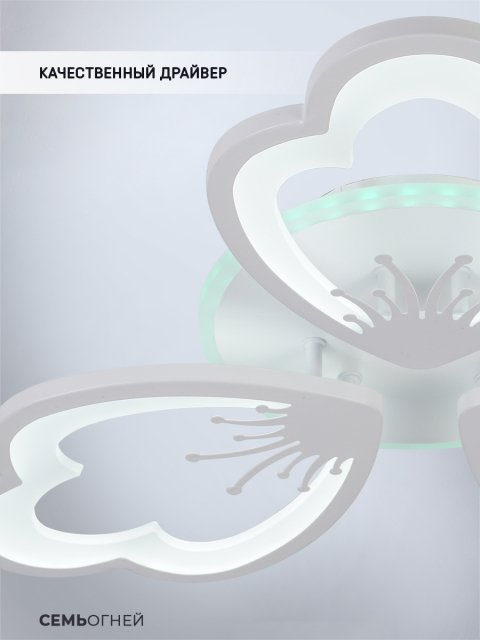 Потолочная светодиодная люстра Seven Fires Ferenk SF5028/3C-WT-RGB