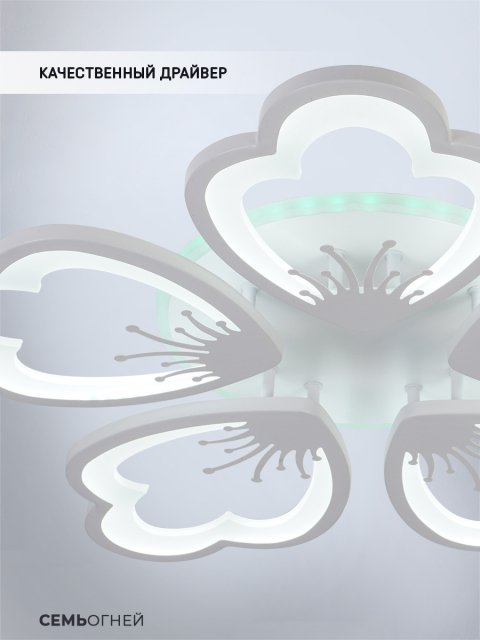 Потолочная светодиодная люстра Seven Fires Ferenk SF5028/5C-WT-RGB