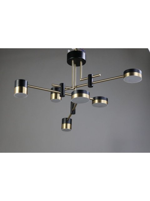 Потолочная светодиодная люстра Zortes Lunar ZRS.1805.06