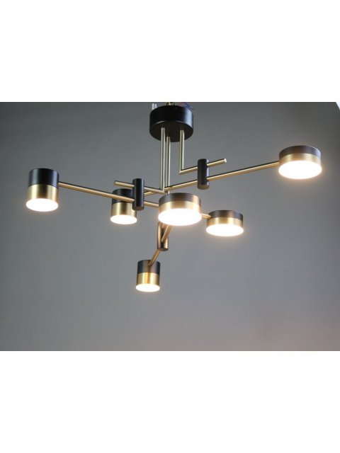 Потолочная светодиодная люстра Zortes Lunar ZRS.1805.06