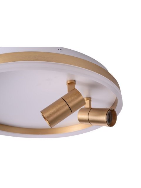 Потолочная светодиодная люстра Zortes Raizy ZRS.1888.02