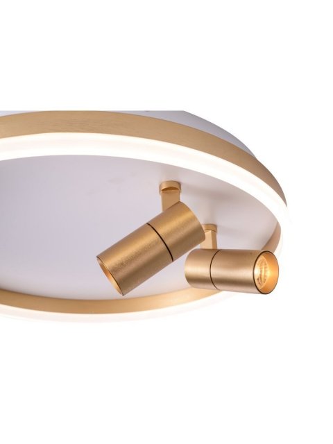 Потолочная светодиодная люстра Zortes Raizy ZRS.1888.02