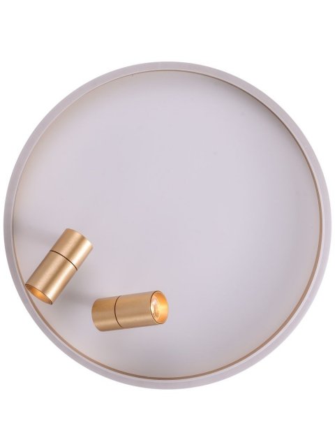 Потолочная светодиодная люстра Zortes Raizy ZRS.1888.02