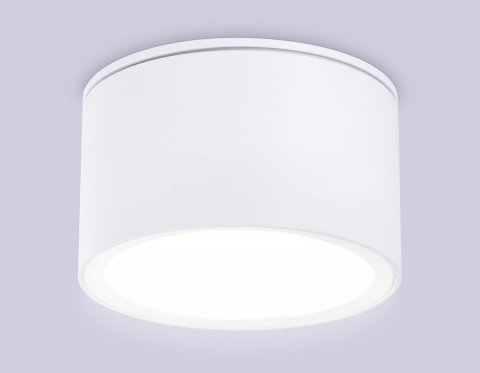 Потолочный светильник Ambrella light Techno Spot IP Protect TN6522