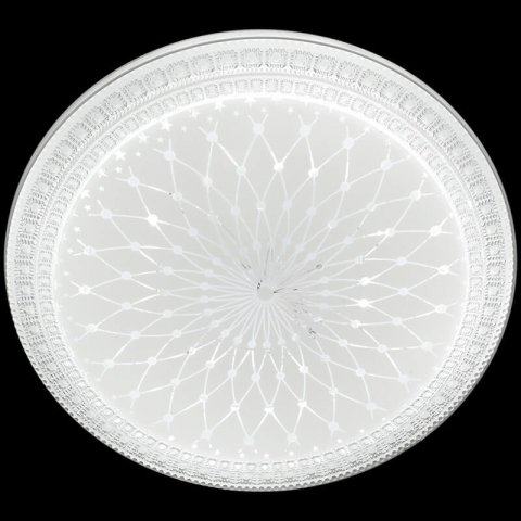 Потолочный светильник Reluce 03638-9.2-60W*2B