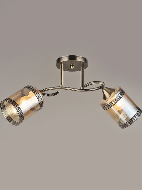 Потолочный светильник Reluce 04616-0.3-02