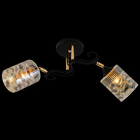 Потолочный светильник Reluce 11313-0.3-02 BK+FGD