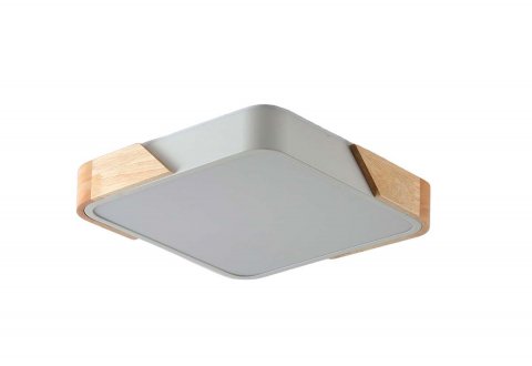 Потолочный светильник Zortes ALBERRO ZRS.01285.24