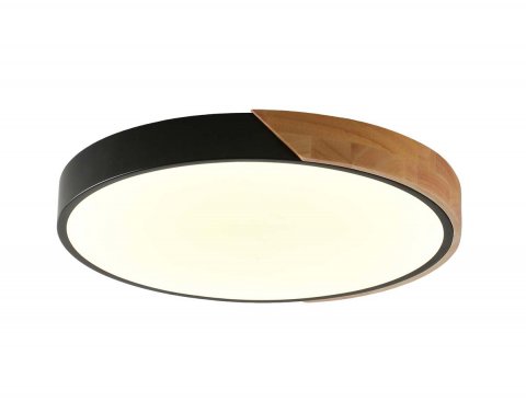 Потолочный светильник Zortes ALBERRO ZRS.01287.48