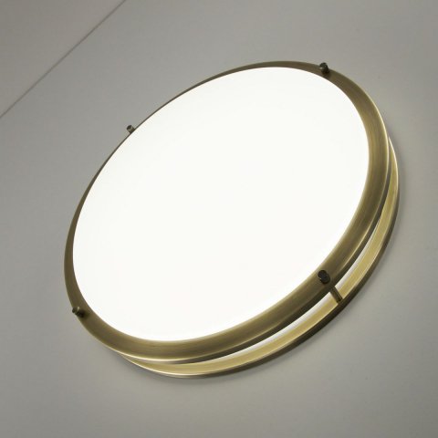 Потолочный светодиодный светильник Citilux Бостон CL709503N