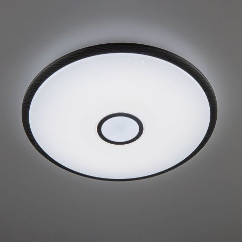 Потолочный светодиодный светильник Citilux Старлайт Смарт CL703A105G