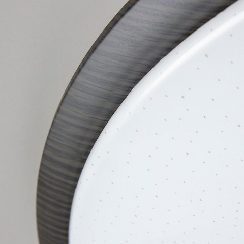 Потолочный светодиодный светильник Citilux Старлайт Смарт CL703A65G