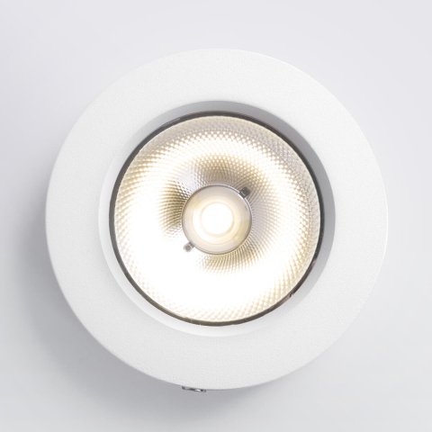 Потолочный светодиодный светильник Elektrostandard DLS030 белый a052413