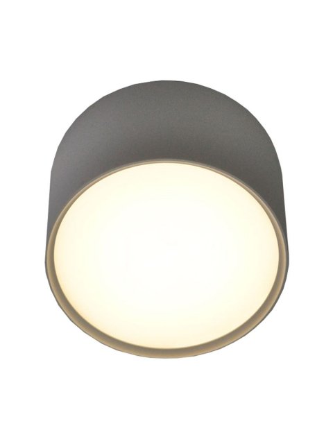 Потолочный светодиодный светильник Elvan NLS-2337-6W-NH-Wh