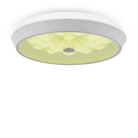 Потолочный светодиодный светильник Freya Cells FR10012CL-L24W