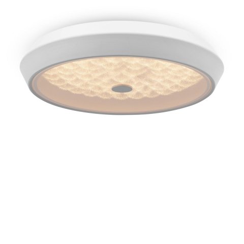 Потолочный светодиодный светильник Freya Cells FR10012CL-L24W