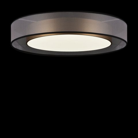 Потолочный светодиодный светильник Freya Zoticus FR6005CL-L48G