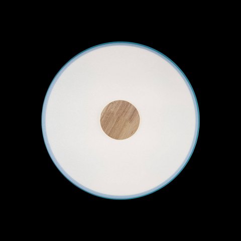 Потолочный светодиодный светильник Loft IT Axel 10003/24 blue