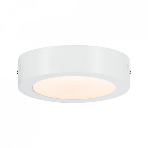 Потолочный светодиодный светильник Paulmann Carpo 79790