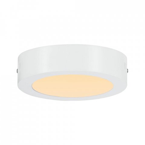 Потолочный светодиодный светильник Paulmann Carpo 79790