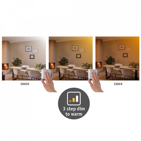 Потолочный светодиодный светильник Paulmann Carpo 79795