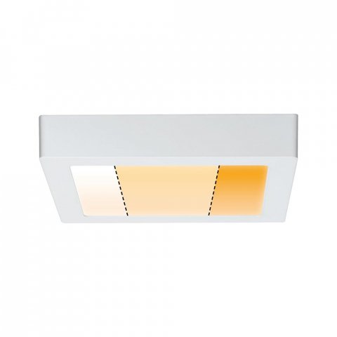 Потолочный светодиодный светильник Paulmann Carpo 79796