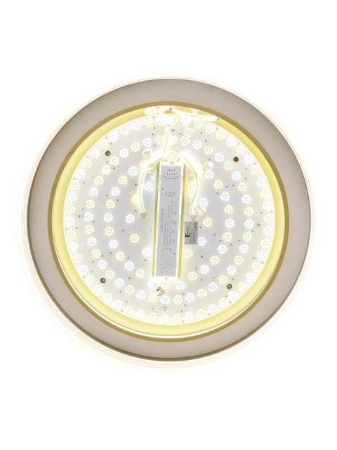 Потолочный светодиодный светильник Zortes Adel ZRS.1200.01