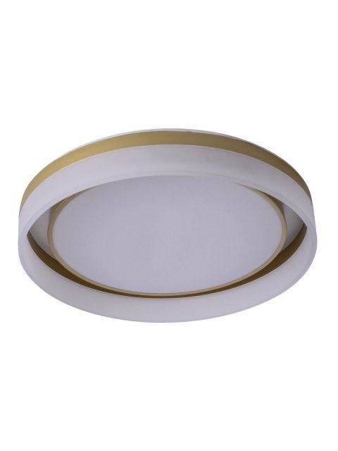 Потолочный светодиодный светильник Zortes Adel ZRS.1200.01